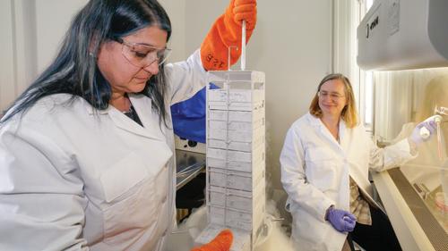 Two people in lab coats and gloves working on a machine in a research laboratory